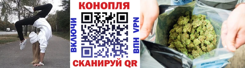Шишки марихуана сатива  Юрюзань 